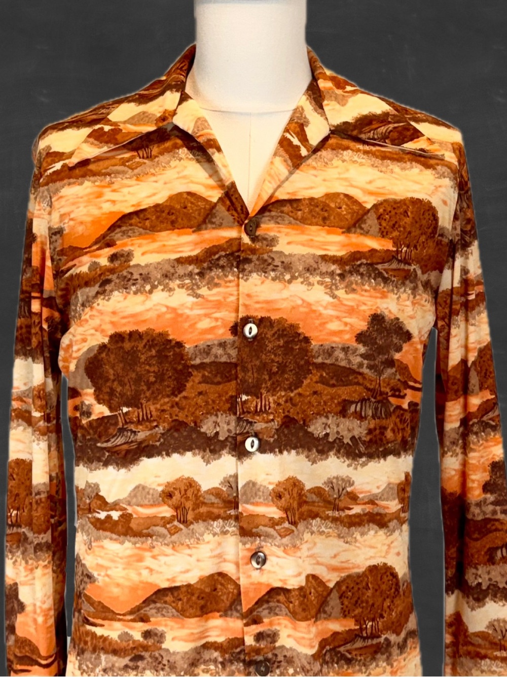 VINTAGE 70s disco dagger collar slick button down shirt landscape trees sunset